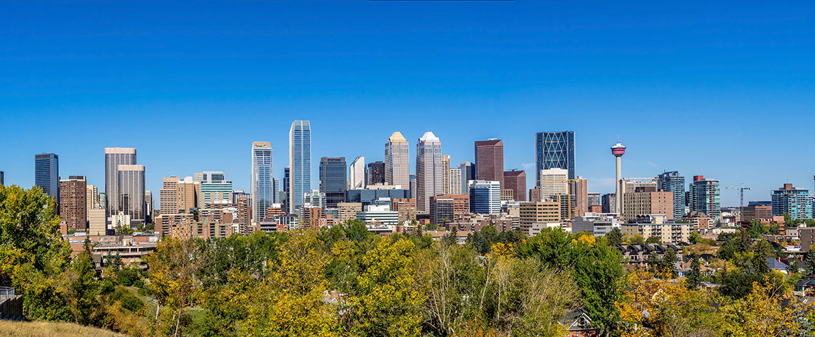 All Paws In in Calgary